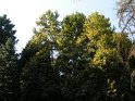 pict3746 (web)